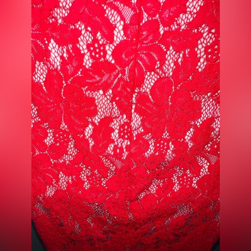 Sans Souci Red Lace Sleeveless Halter Open Back Fully Lined Dress - Picture 6 of 11